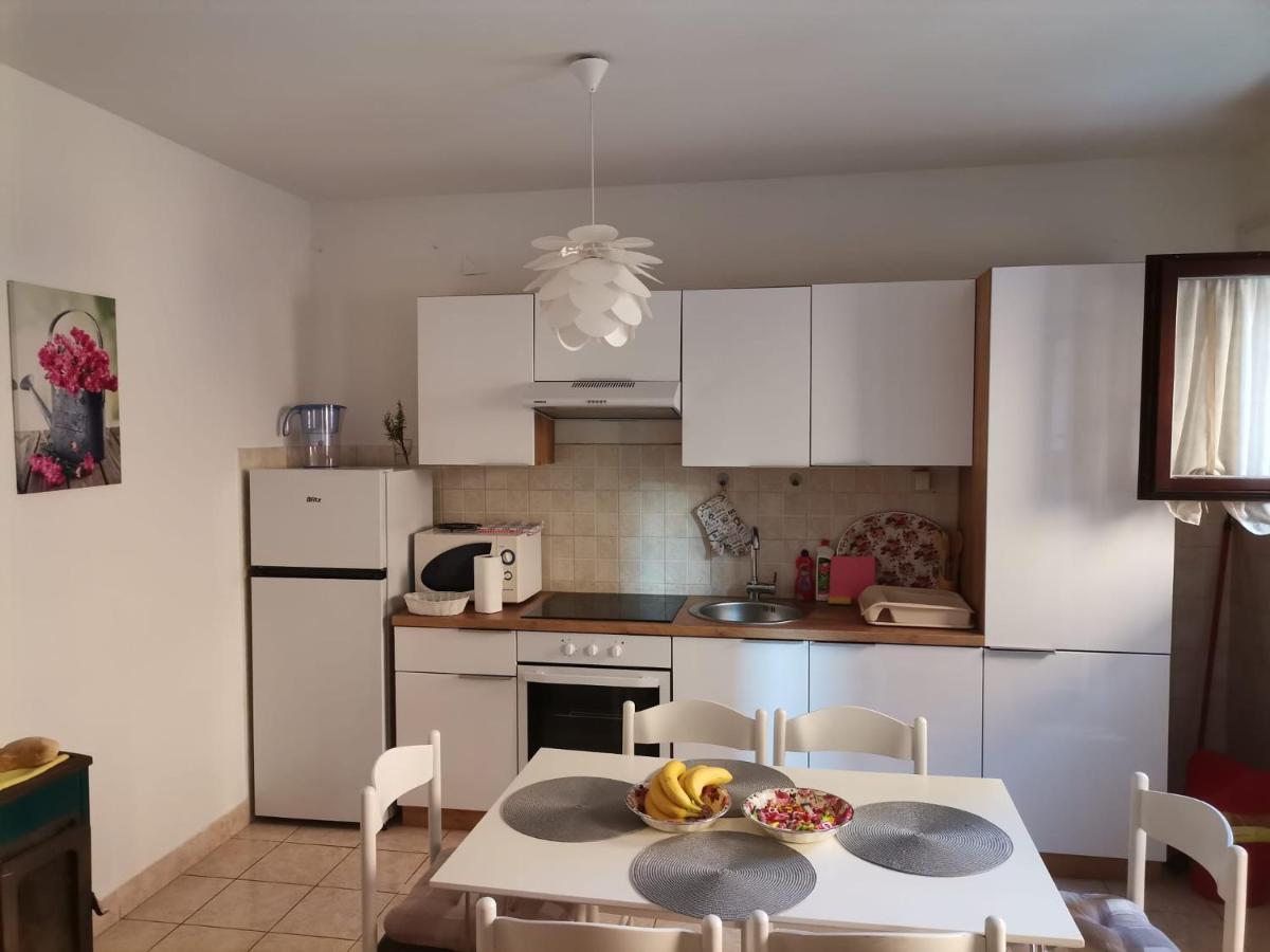Delfin Apartments Задар Экстерьер фото